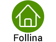Follina