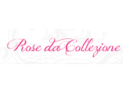 Visita lo shopping online di Rose da Collezione