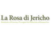 Visita lo shopping online di LA Rosa di Jericho