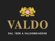Visita lo shopping online di Valdo