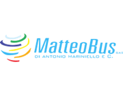 Matteo Bus