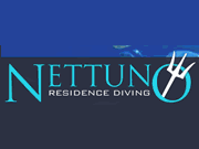 Diving Nettuno