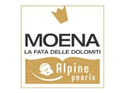 Visita lo shopping online di Moena
