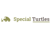 Special Turtles