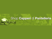 Capperi di Pantelleria