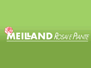 Visita lo shopping online di Rosai e Piante Meilland