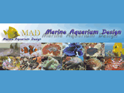 Marine Aquarium Design
