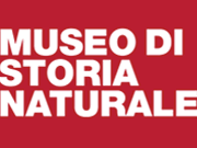 Museo Storia di Naturale Firenze