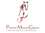 Visita lo shopping online di Podere Montecorno