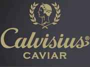 Visita lo shopping online di Calvisius