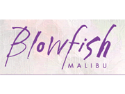 Visita lo shopping online di Blowfish shoes