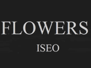 Visita lo shopping online di Flowers Iseo