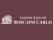 Visita lo shopping online di Boscaini Carlo vino