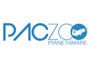 Visita lo shopping online di Paczoo