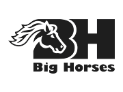 Visita lo shopping online di Big Horses