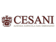 Visita lo shopping online di Cesani
