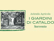 Visita lo shopping online di I Giardini di Cataldo
