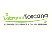 Visita lo shopping online di Labrador Toscana