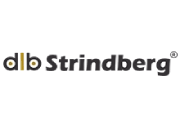 Visita lo shopping online di Strindberg