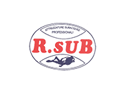 R-sub