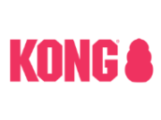 Kong company