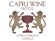 Visita lo shopping online di Capri Wine Hotel