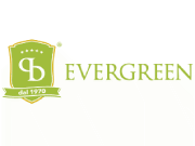 Pistacchio Evergreen