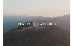 Visita lo shopping online di Tenuta San Guido