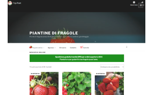 Visita lo shopping online di piantine di fragole