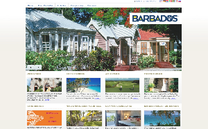 Visita lo shopping online di Barbados