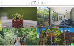 Visita lo shopping online di Astoria Park Hotel Riva del Garda