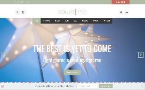 Visita lo shopping online di Cowo 360