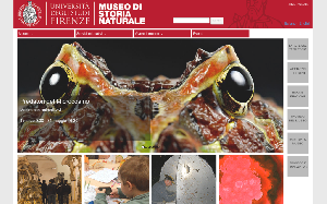 Visita lo shopping online di Museo Storia di Naturale Firenze
