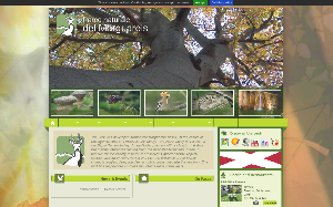 Visita lo shopping online di Parco naturale del Marguareis