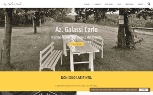 Visita lo shopping online di Galassi Carlo Labirinto Dinamico