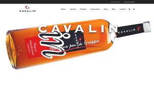 Visita lo shopping online di Cavalin