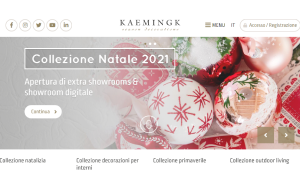 Visita lo shopping online di Kaemingk