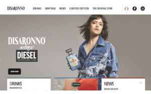 Visita lo shopping online di Amaretto Disaronno