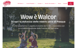 Visita lo shopping online di Walcor