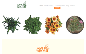 Visita lo shopping online di Amori e Aromi