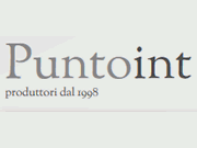 Puntoint logo