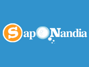 Saponandia logo