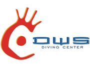 DWS Diving logo