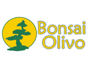 Bonsai Olivo