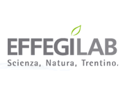 EffegiLab logo