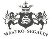 SEGALIN Calzature logo