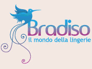 Bradiso logo