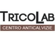 TricoLab Roma logo