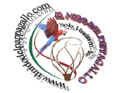 Il Nido del Ppappagallo logo