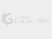 Studio Gatto sul Web